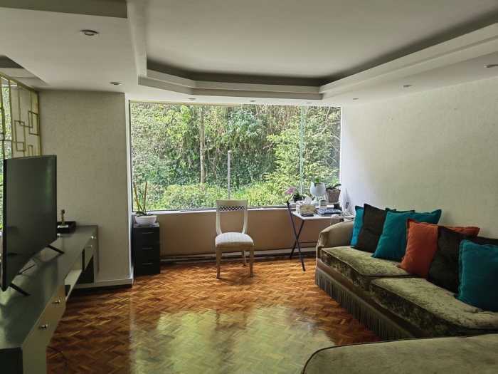 Venta Departamento Frondoso 1, de 2 Pisos, Lomas Anahuac