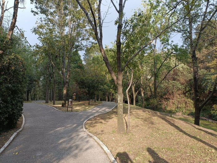 VENTA O RENTA, CASA EN HACIENDA SANTA FE LA LOMA