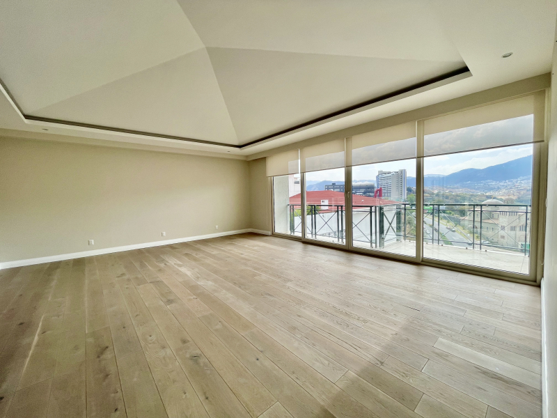 VENDE O RENTA DEPARTAMENTO PENTH HOUSE EN BOSQUE REAL