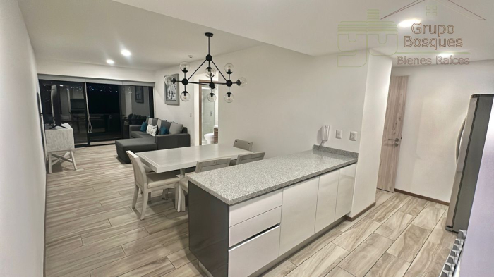 departamento en renta en torre morat bosque real.