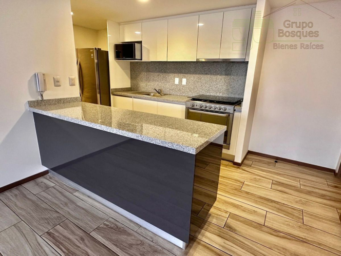 departamento en renta en torre morat bosque real.
