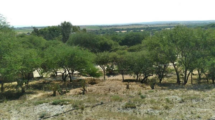 Terreno en venta en San Miguel de Allende