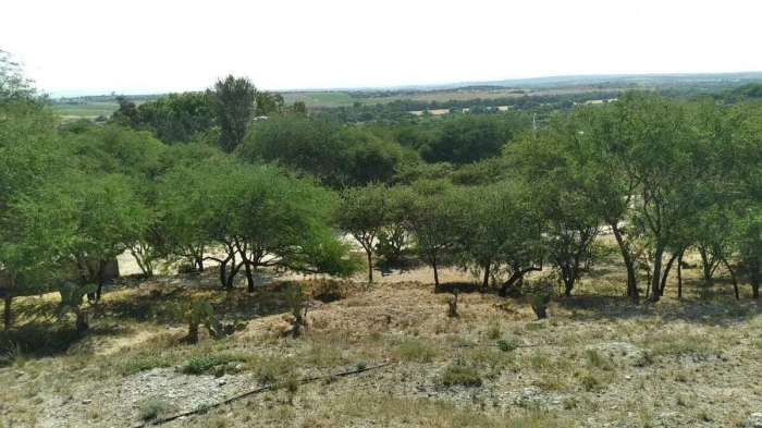 Terreno en venta en San Miguel de Allende