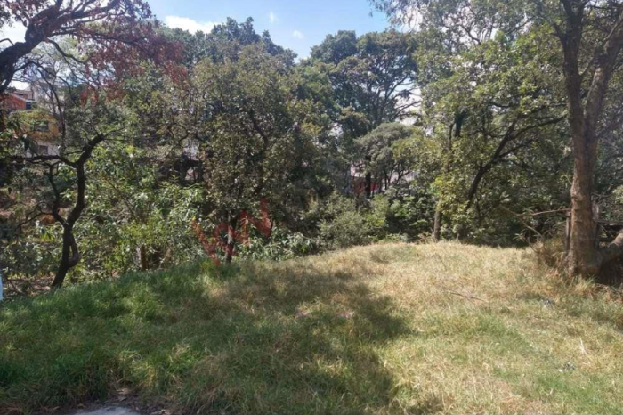 EXCELENTE OPORTUNIDAD DE TERRENO PARA INVERSIONISTAS