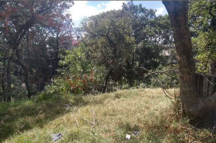 EXCELENTE OPORTUNIDAD DE TERRENO PARA INVERSIONISTAS