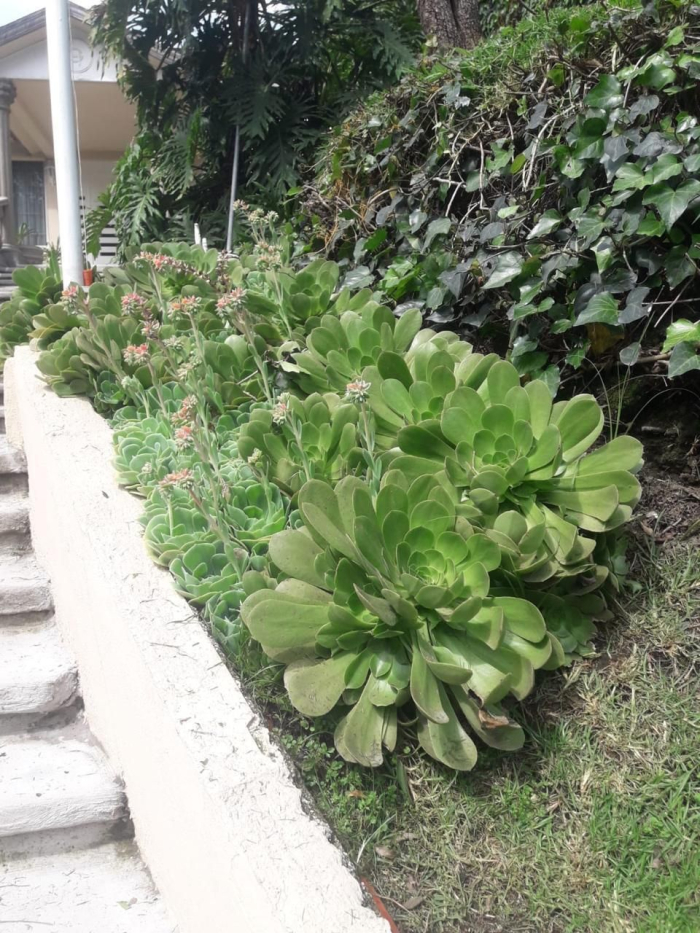 Casa en Venta en Bosques De Las Lomas, Miguel Hidalgo,CDMX