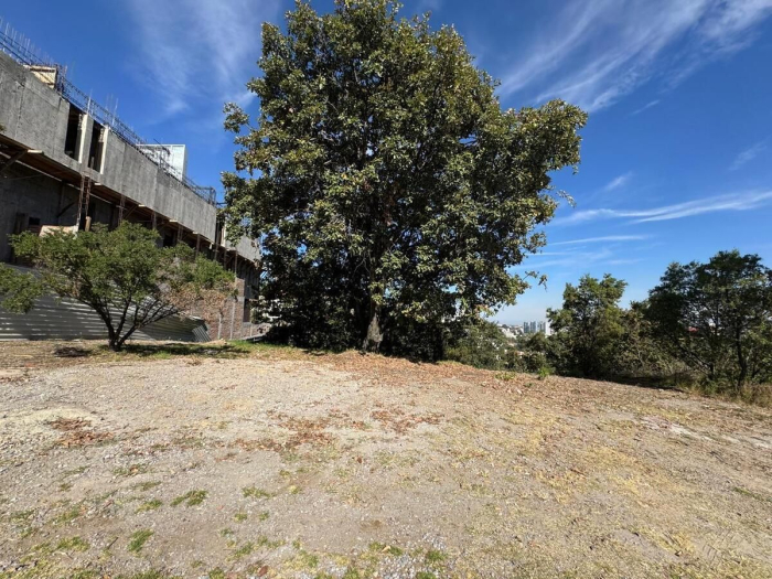 Terreno en venta - La Campiña, Bosque Real