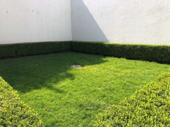 Renta de casa para oficinas, Colonia Del Valle