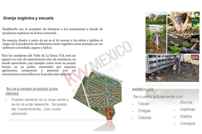 Preventa Casa en Venta La Santa VID (Viñedo)