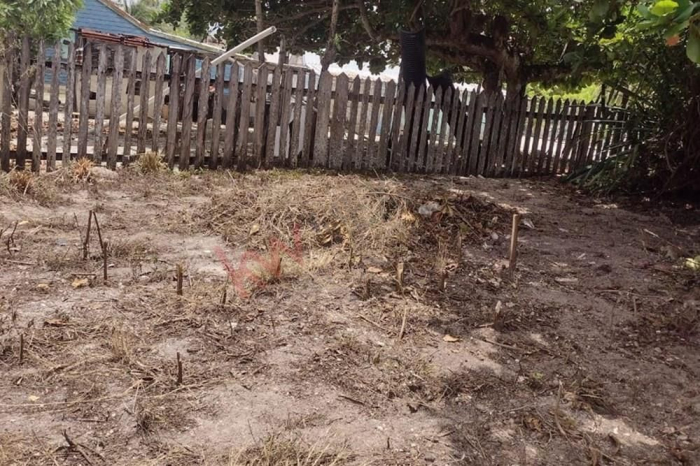 Terreno con cabañas a orilla de playa en Xcalak Quintana Roo