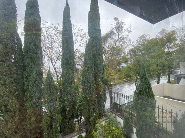 Departamento en Renta en Bosques de Reforma, Bosque de las Lomas