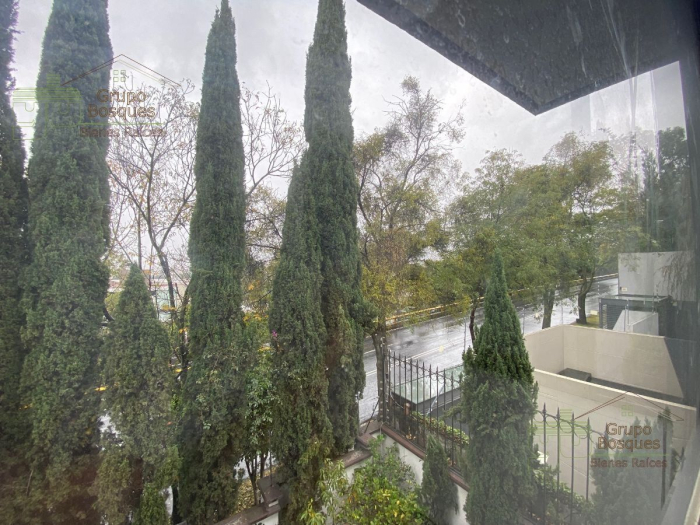 Departamento en Renta en Bosques de Reforma, Bosque de las Lomas