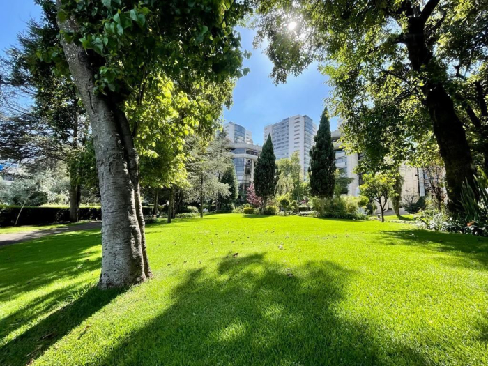 increíble penthouse en venta- bosques de las lomas, residencial trianon