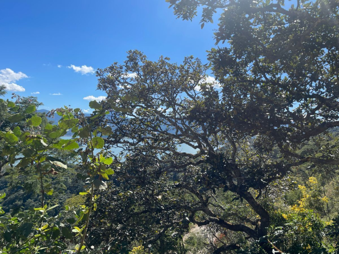 Venta de Terreno de 951.07 m2 en el Santuario fraccionamiento ecológico Tucán 4