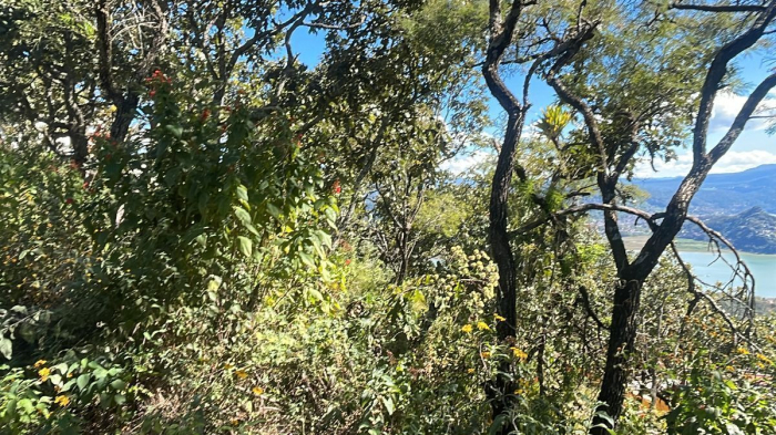 Venta de Terreno de 951.07 m2 en el Santuario fraccionamiento ecológico Tucán 4