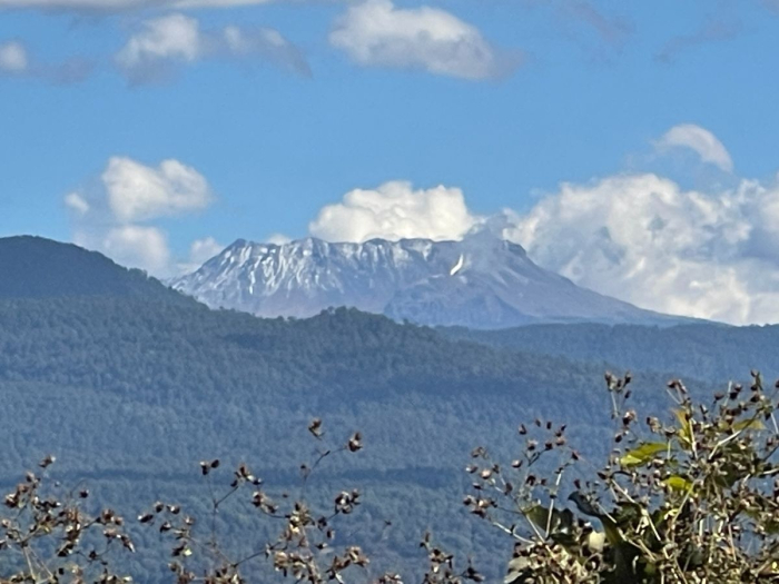 Venta de Terreno, 1257.09 m2, en Santuario fraccionamiento ecológico Águila 1