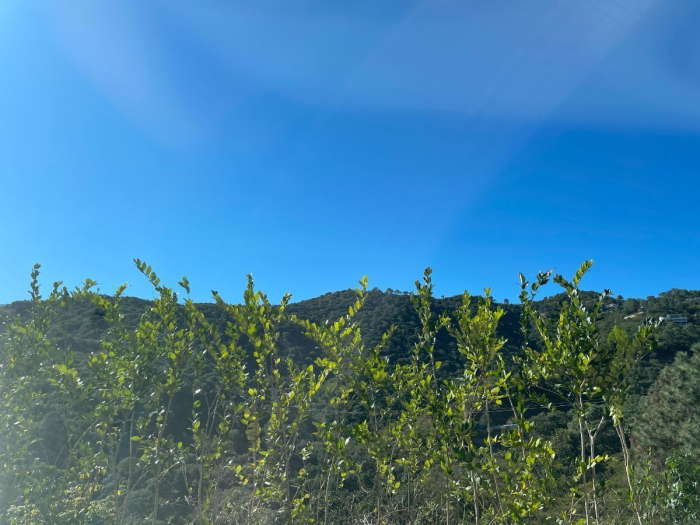 Venta de Terreno de 1257.09 m2 en el Santuario fraccionamiento ecológico Pato 1