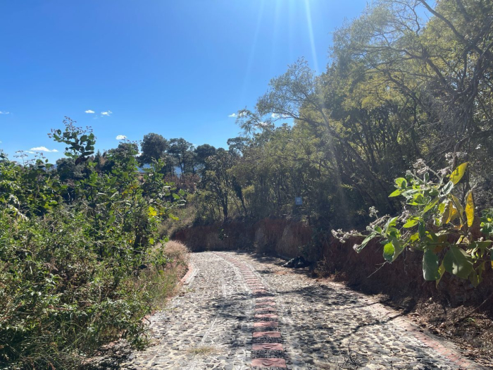 Venta de Terreno de 1257.09 m2 en Santuario fraccionamiento ecológico Tucán 43