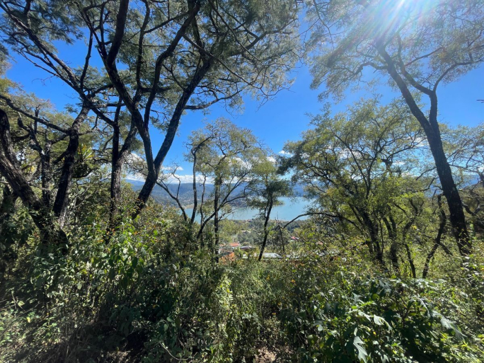 Venta de Terreno de 1257.09 m2 en Santuario fraccionamiento ecológico Tucán 43