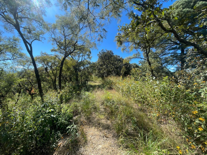 Venta de Terreno de 1257.09 m2 en Santuario fraccionamiento ecológico Tucán 43