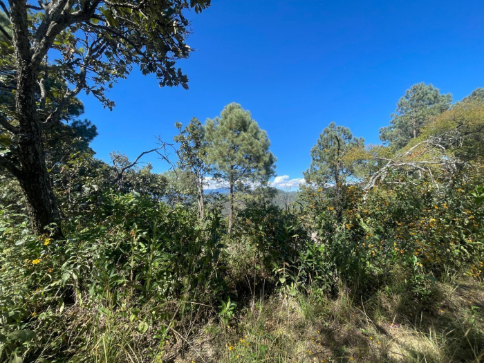 Venta de Terreno de 1257.09 m2, Santuario fraccionamiento ecológico Papagayo 16