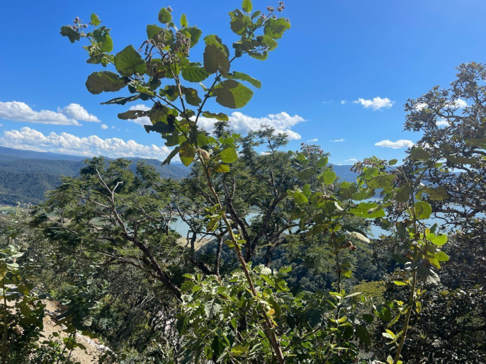 Venta de Terreno de 1257.09 m2, Santuario fraccionamiento ecológico Papagayo 16