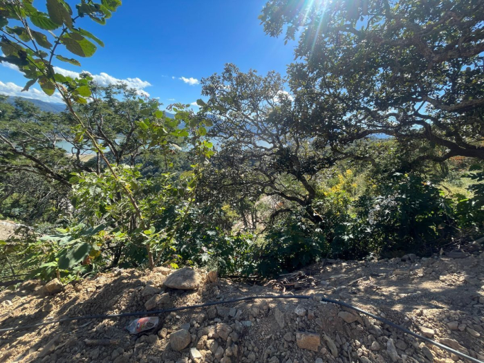 Venta de Terreno de 1257.09 m2 en el Santuario fraccionamiento ecológico