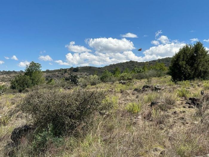 Magnifico terreno en venta - Santiago Tulantepec, Hidalgo.