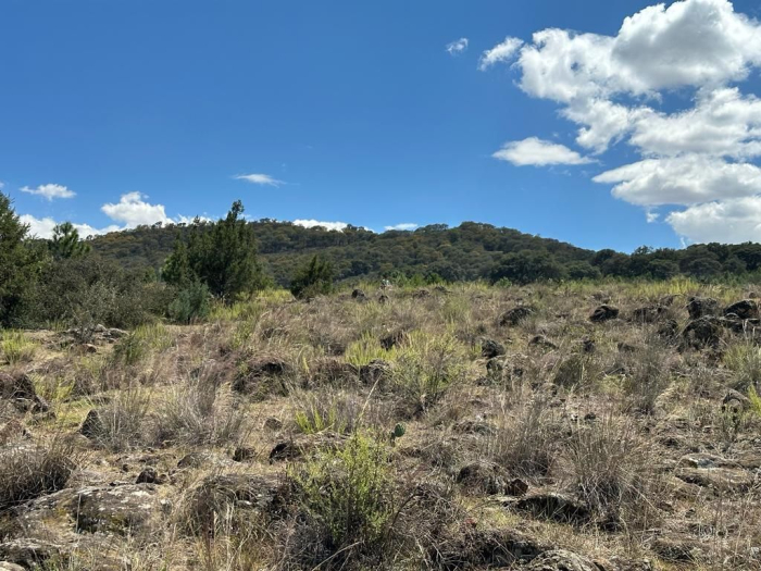 terreno en venta - Santiago tulantepec, Hidalgo