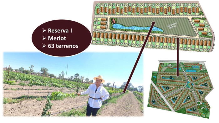 Preventa Casa en Venta La Santa VID (Viñedo)