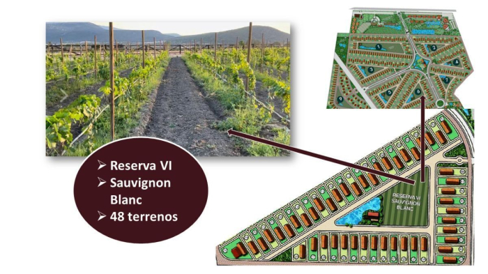 Preventa Casa en Venta La Santa VID (Viñedo)