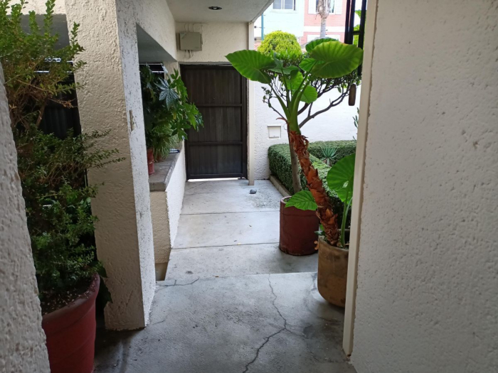 Casa en renta   Bosque de Baluarte con jardín
