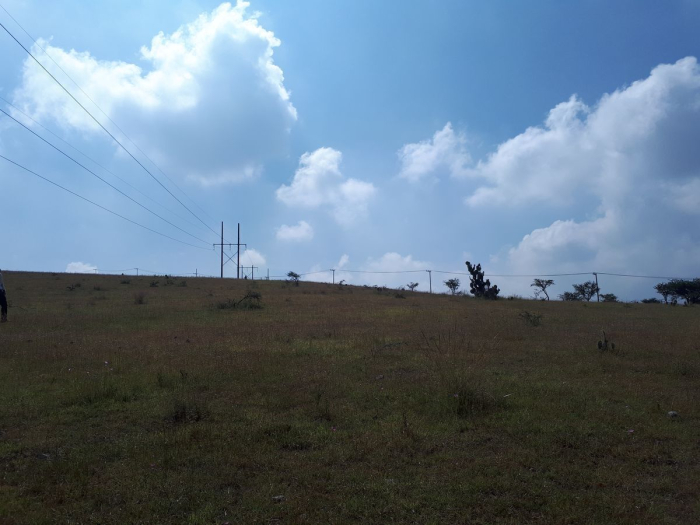 Terreno en zona industrial. Tepeji del Rio