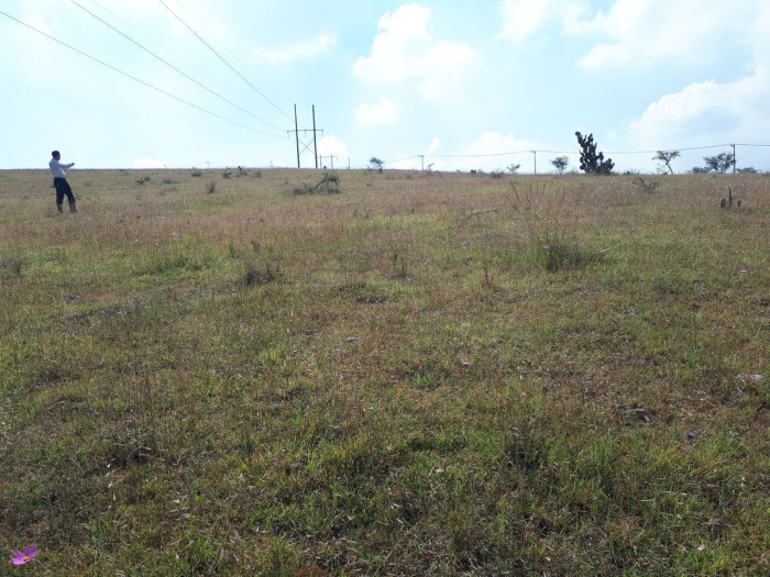 Terreno en zona industrial. Tepeji del Rio