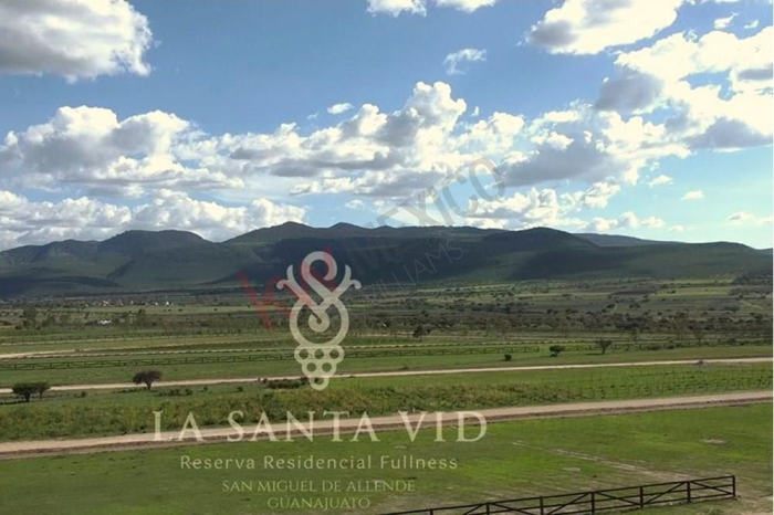 Terreno y viñedos a km 9.5 de la carretera San Miguel de Allende - Querétaro, a