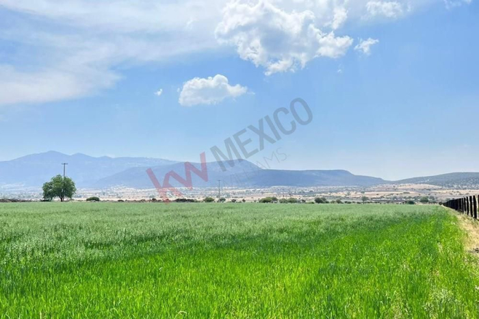Terreno y viñedos a km 9.5 de la carretera San Miguel de Allende - Querétaro, a