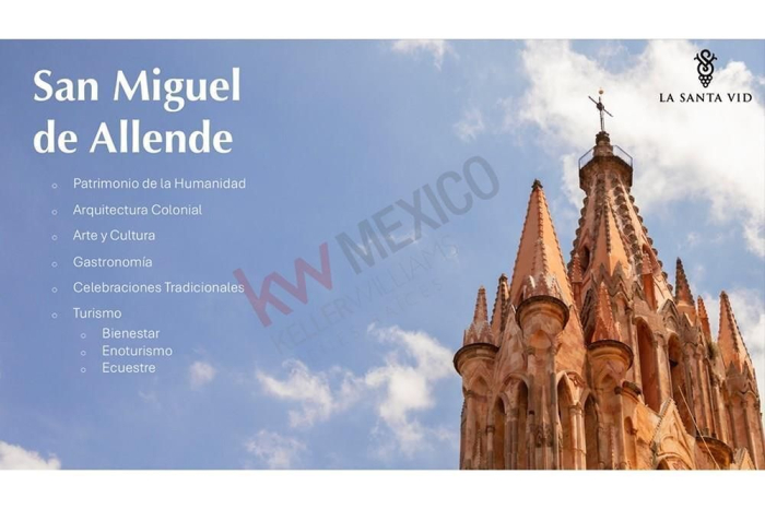 Terreno y viñedos a km 9.5 de la carretera San Miguel de Allende - Querétaro, a