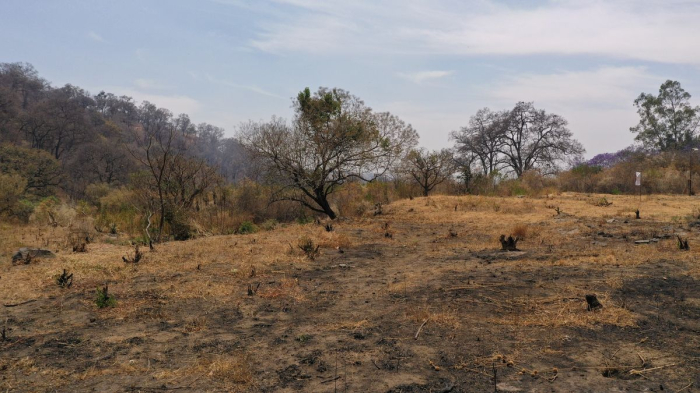 Atención Inversionistas! VENTA de terreno a 5 min del Club Asturiano de Cuautla.