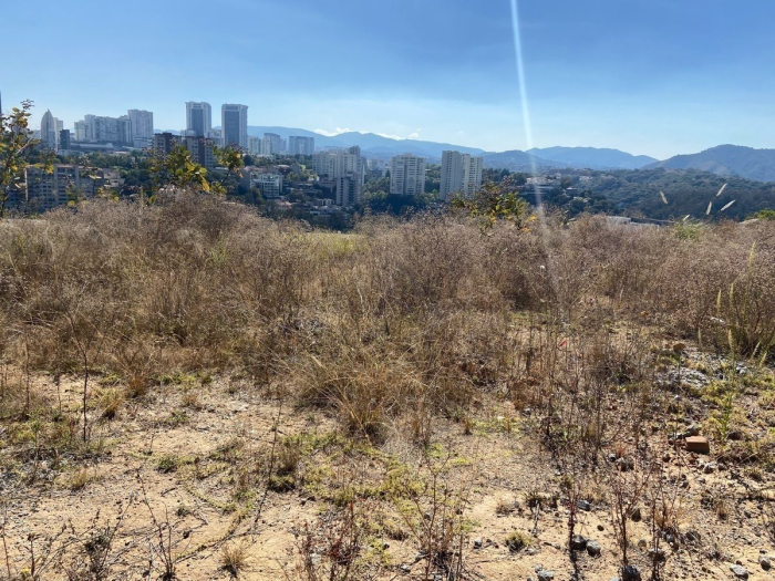 Terreno en venta Bosque Real