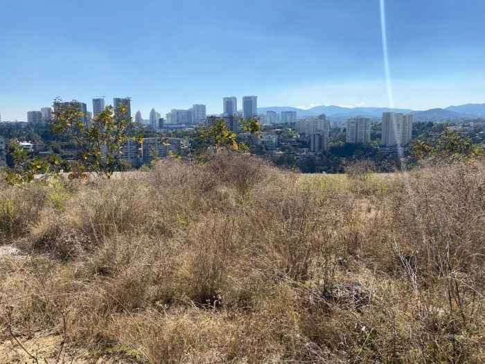 Terreno en venta Bosque Real