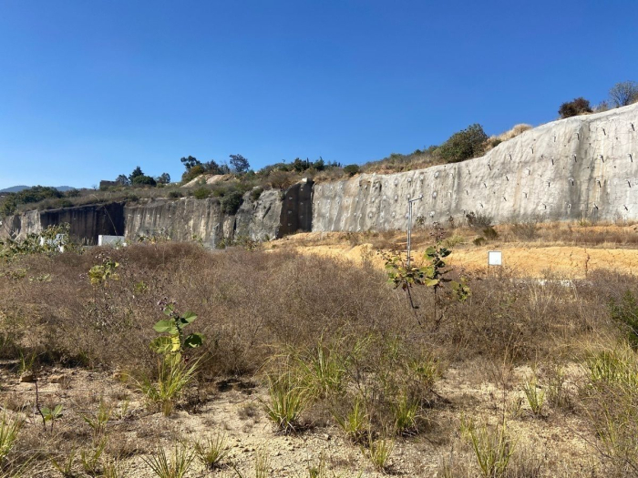 Terreno en venta Bosque Real
