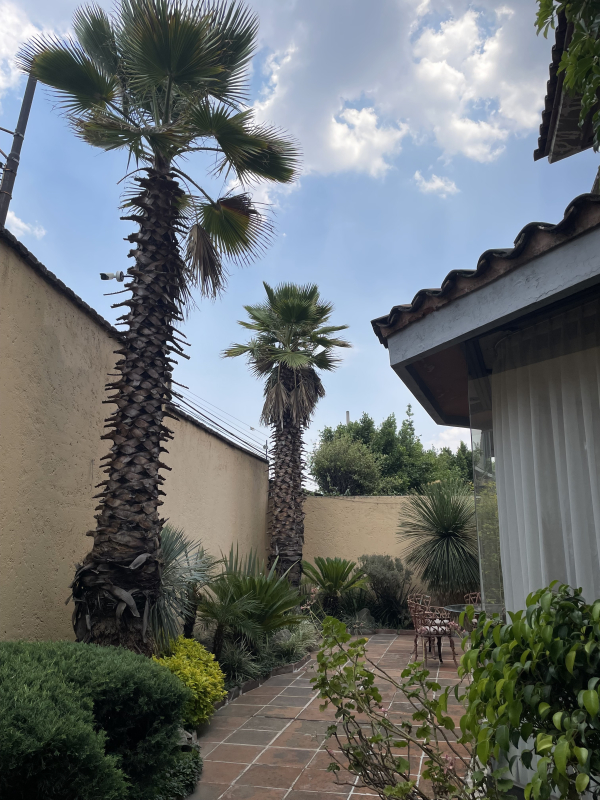 Casa En Condominio En Venta En Lomas De Tecamachalco