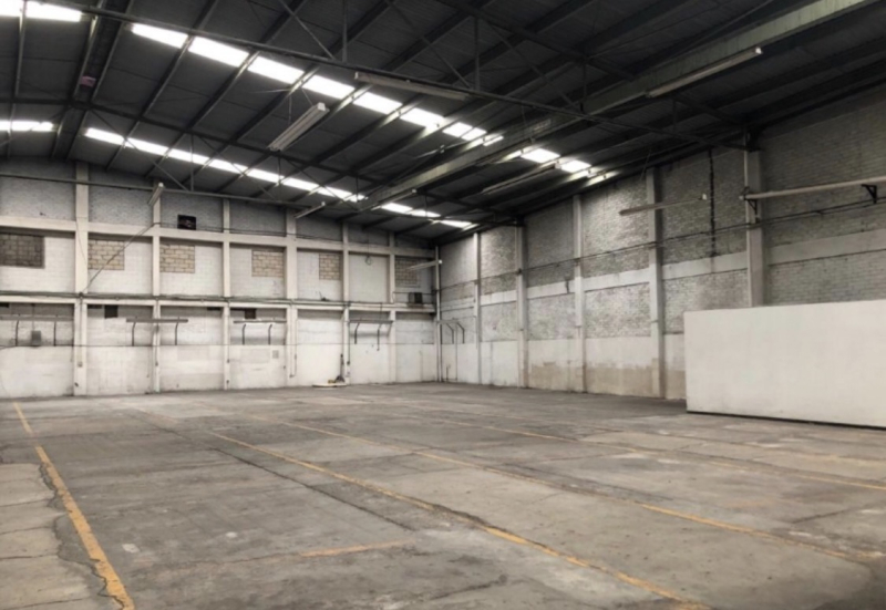 local comercial en renta en san luís tlatilco