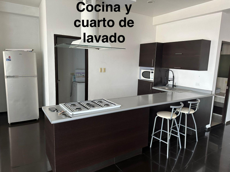Departamento En Renta En Santa Cruz Buenavista