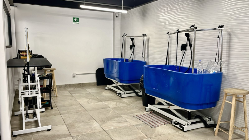 Traspaso Spa Canino Premium Lomas De Tecamachalco �?? ¡Recupera Tu Inversión En 12 Meses!