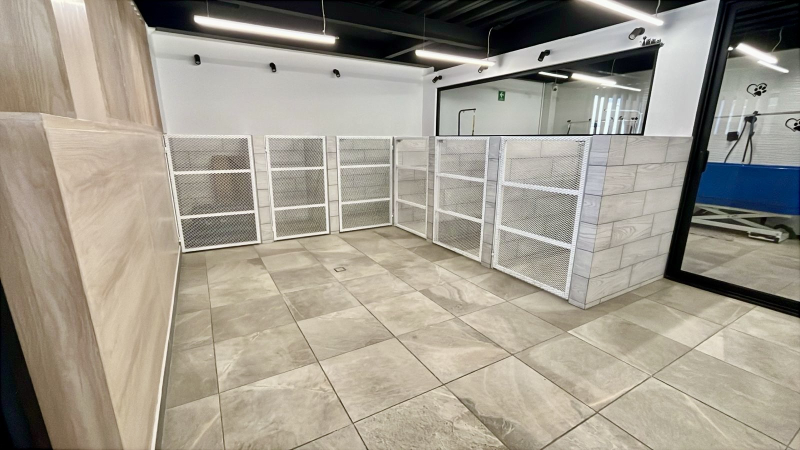 Traspaso Spa Canino Premium Lomas De Tecamachalco �?? ¡Recupera Tu Inversión En 12 Meses!