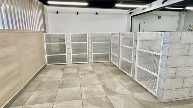 Traspaso Spa Canino Premium Lomas De Tecamachalco �?? ¡Recupera Tu Inversión En 12 Meses!
