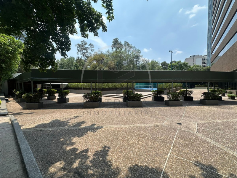 departamento en venta para actualizar en “palmas kamerún”, lomas de chapultepec