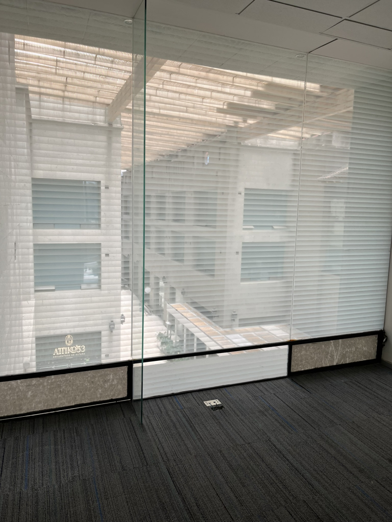 Renta Oficinas Plaza La Antgua Z Esmeralda 320 M2