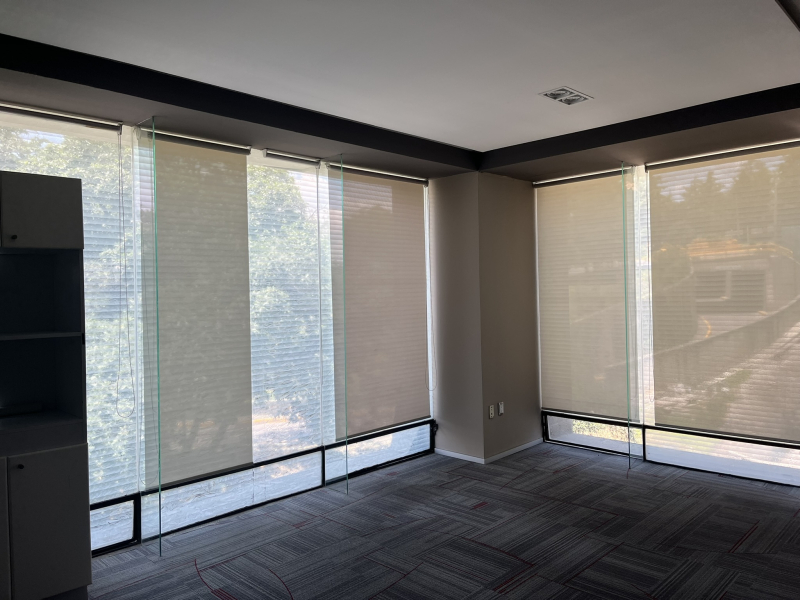 Renta Oficinas Plaza La Antgua Z Esmeralda 320 M2